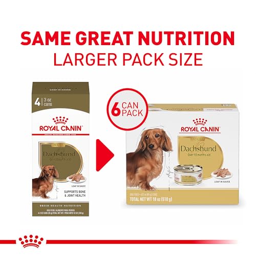 Royal Canin Dachshund Adult Breed Specific Wet Dog Food - Premium Taste, Easy Digestion for Small Breeds, Vacuum Sealed