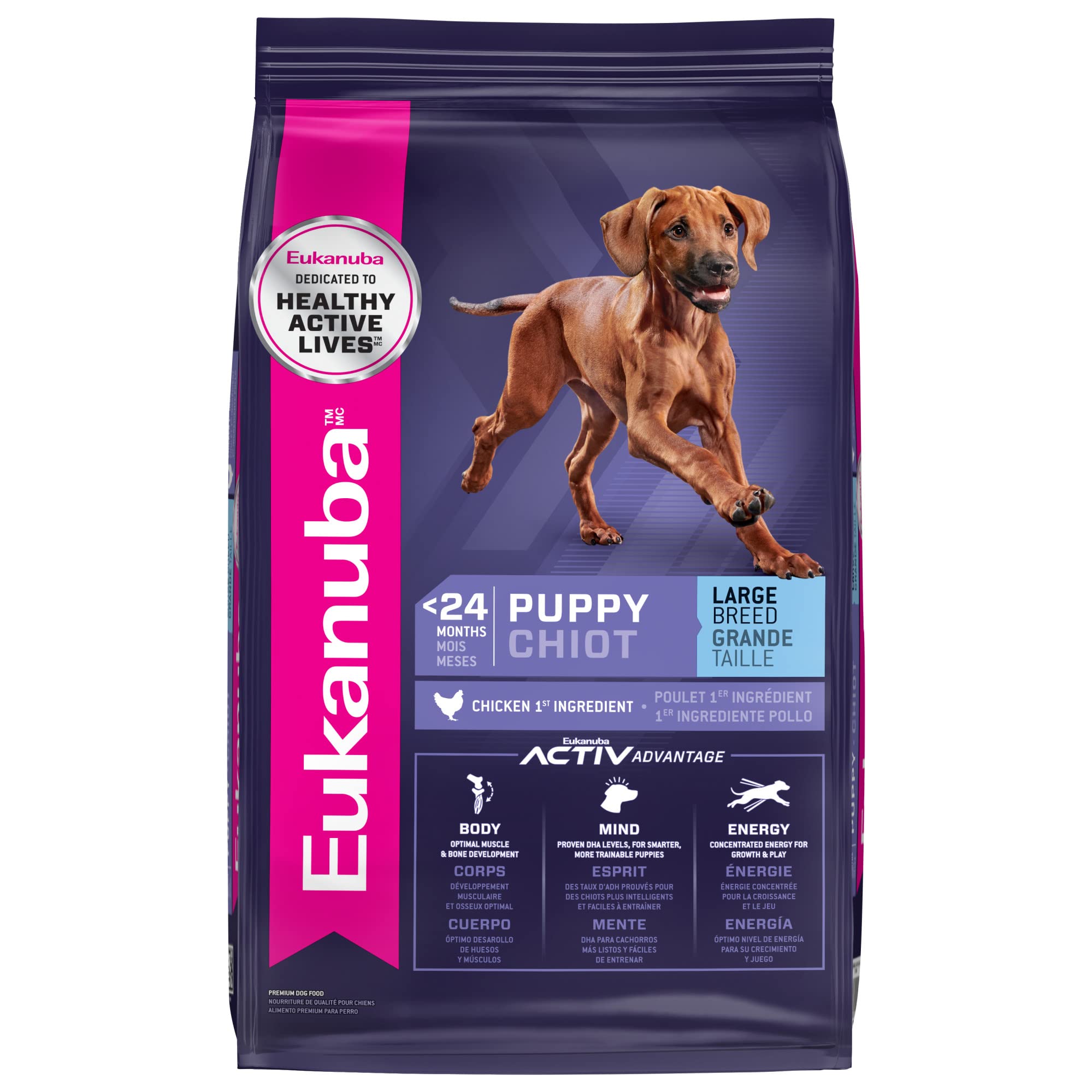 Eukanuba Dry Large Breed Puppy Food, High Protein Dry Dog Food for Puppies, Supports Healthy Growth with DHA and Vitamin